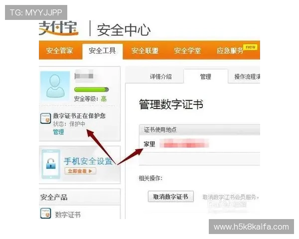 掌握K8电竞登陆安全技巧，保障账号信息安全与游戏体验的完整性